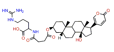 3-(N-Succinoyl argininyl)-bufalin